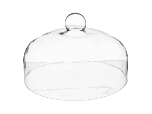 CUPULA VIDRO 30X19CM