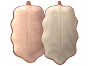 BANDEJA PORCELANA 30X19CM 